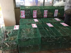 -荔城生鲜盛宴(番禺旗舰店)