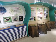 -上海昆虫博物馆