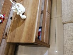 -长虹家具世界(渭水道店)