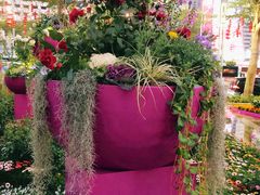 -人民公园(罗湖区)