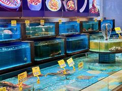 -梦都海鲜酒家(万达广场江桥店)