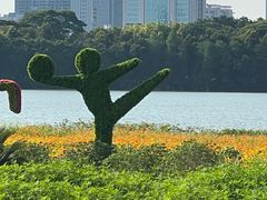 -海珠湖公园