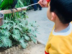 -世界地热博览园