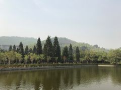 -威远炮台