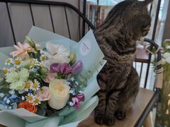 -ChaKo Flora ·茶子花艺 (市北店)