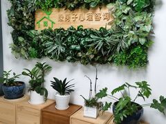 -绿房子心理咨询