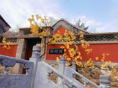 -潭柘寺景区