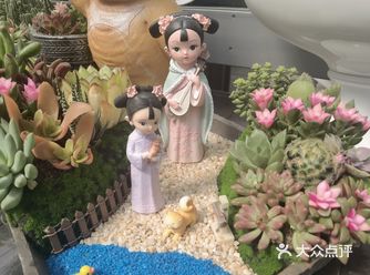 古代的小娃娃摆件配上多肉好看极了