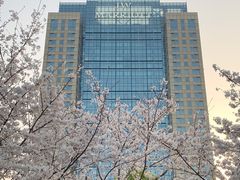 -新发展亚太JW万豪酒店·福苑咖啡厅