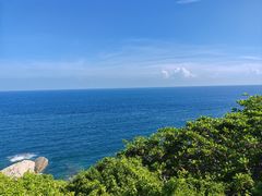 -小海豚•老字号海鲜餐厅(天涯店)