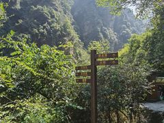 -庐山碧龙潭风景区