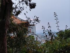 -八仙山公园