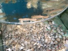 -沿海渔家院海鲜烧烤·东北菜(东戴河店)