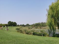 -塘沽森林公园