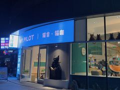 门面-飞行喵MR PILOT|猫舍·猫咖(静安大融城店)