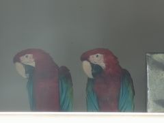 -无锡动物园·太湖欢乐园