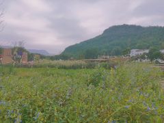 -十九峰景区