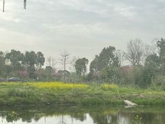 -广富林郊野公园