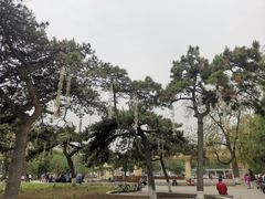 -万泉公园