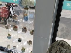 -卫雅仕口腔