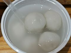 -海丝金凤(金鱼店)