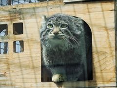 -青藏高原野生动物园