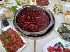 -枇杷园食为鲜火锅(南山店)