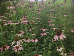 -上海滴水湖皇冠假日酒店