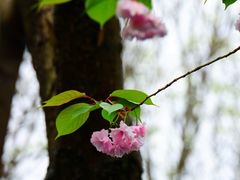 -上海吴淞炮台湾国家湿地公园