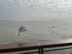 -深圳湾公园(南山区)