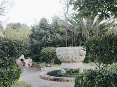 -大理地热国