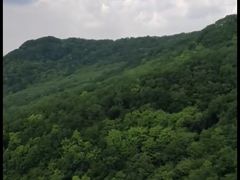 -吉林市朱雀山国家森林公园