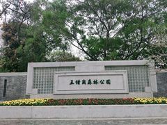 -王借岗森林公园