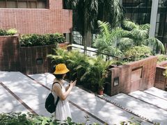 -香港大学