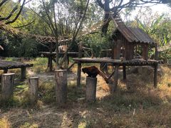 -宁波野生动物园