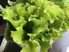 -青松大叔的店(东财店)