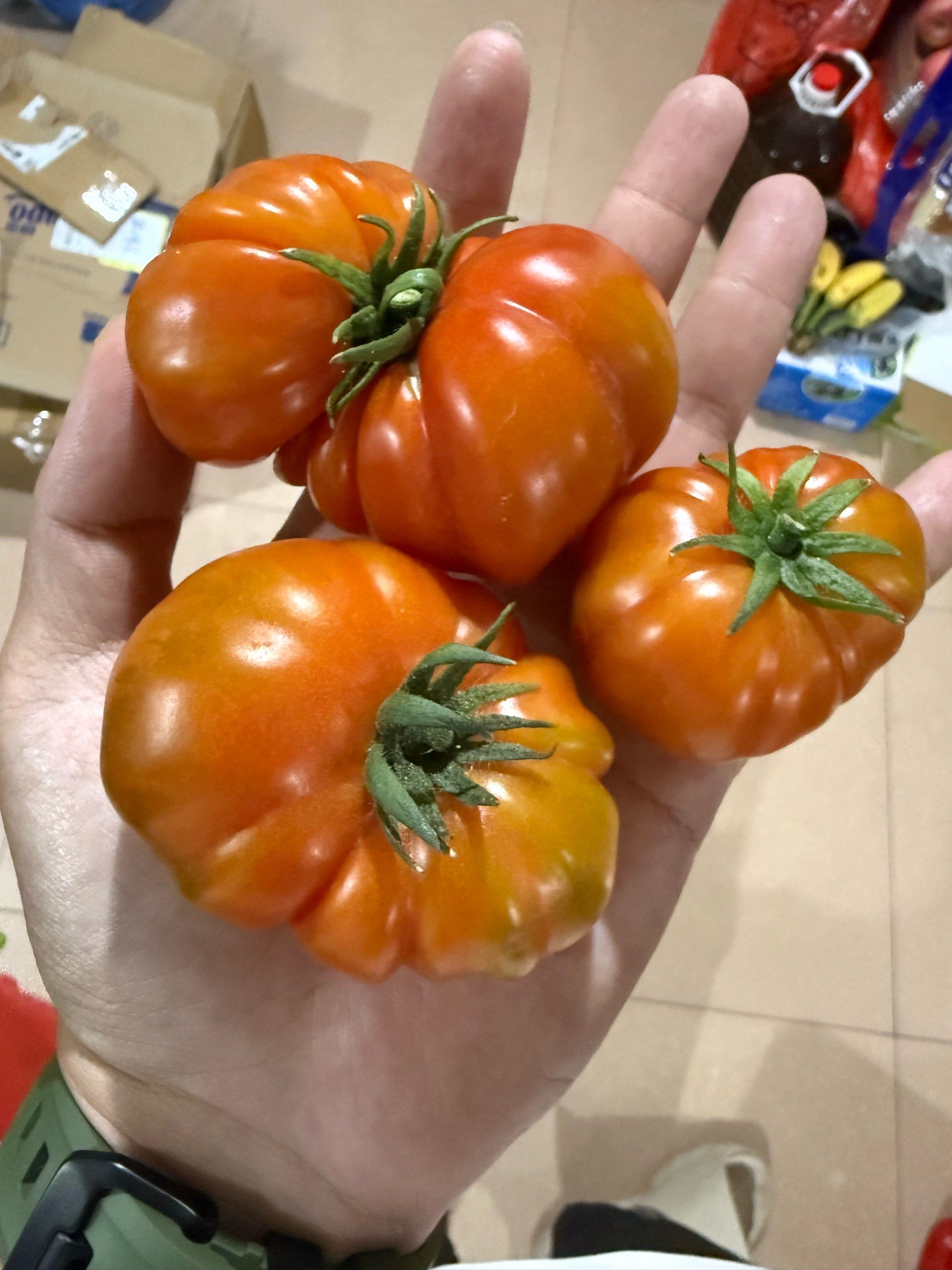 番茄大餐来袭