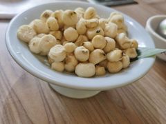 -探窝·竹笙椰子鸡(杨箕店)