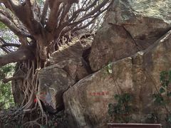 -宋井风景区