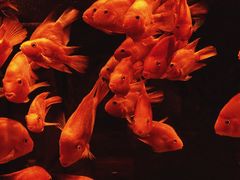 -北京海洋馆