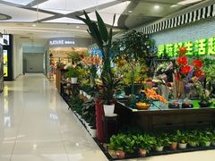 -新荟城(望京店)