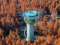 -黄海国家森林公园