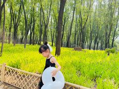 -森林公园(尖草坪区)