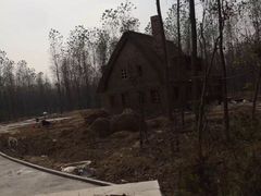 -合肥滨湖国家森林公园