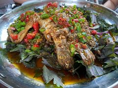 -聚缘·湘味音乐餐厅party(罗湖店)