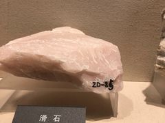 -安徽省地质博物馆