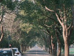-同里国家湿地公园