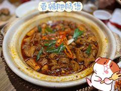 香辣肥肠煲-永红源·小排档(闽江路店)
