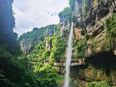 -张关合渣(航空大道店)