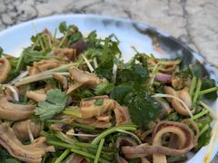 -鲤鱼塘农家山庄